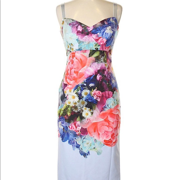 Ted Baker Dresses & Skirts - Ted Baker Forget Me Not Midi Floral Blue Dress